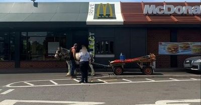 McDonald's turns away two men who arrived at drive-thru on horse and cart
