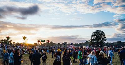 Electric Picnic unveils new programme as festival to shine light on emerging artists