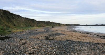 New tidal pool on the cards for north Dublin town