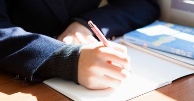 'Shameful' man plagiarised TV show in exam - but some point out massive mistake