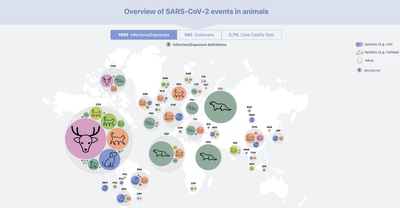 How many animal species have caught COVID? First global tracker has (partial) answers