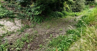 Fears for wildlife around 'completely dried up' canal in Newport