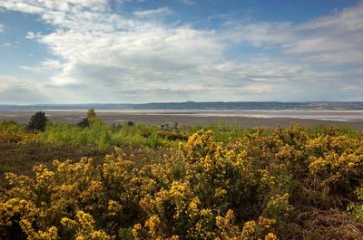 ‘Heartbreak’ as fire tears through nature reserve near homes in Merseyside