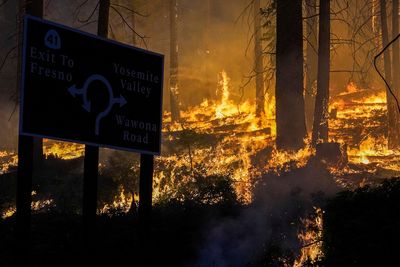 Wildfires are destroying California's forest carbon credit reserves-study