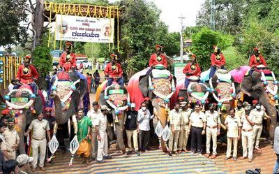 Dasara jumbos all set for ‘Gajapayana’ on August 7