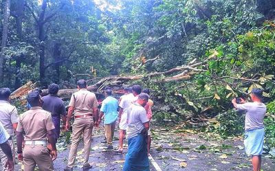 Swollen rivers, landslips cause for concern in Kozhikode