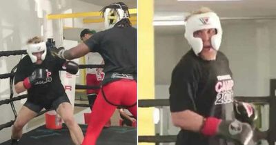 Hasim Rahman Jr posts video of Jake Paul 'running away' in sparring session