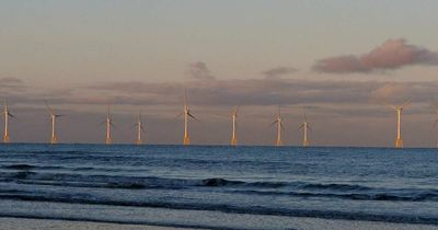 Labor's Climate Change Bill gives Australia a road map for energy revolution and emissions reduction