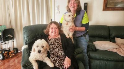 It can be a challenge to care for pets while living with disability, but one service is trying to fill the gap