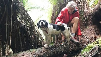 Wife of missing man Bruce Fairfax faces seven-year wait or Supreme Court for death certificate