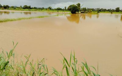 Rainfall warning: Yellow and orange alert sounded for North Karnataka districts