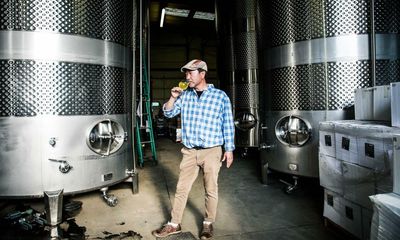 Cider is having an American moment – thanks to a new generation of crafters