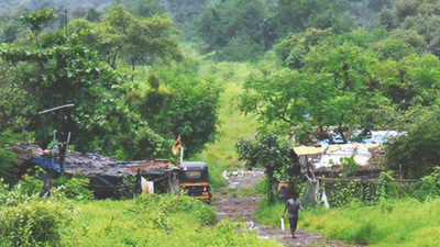 Maharashtra: Illegal road stops sea water from reaching mangroves