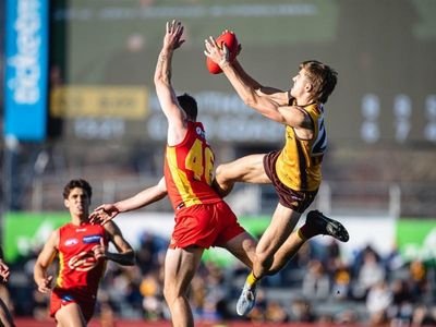 Hawthorn hold off Gold Coast AFL fightback