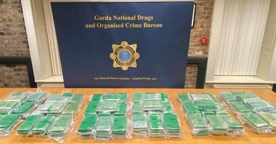 Kinahan cartel flew millions of cocaine into Ireland on private plane