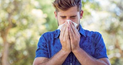 Experts on how to tell if you have Covid or hay fever