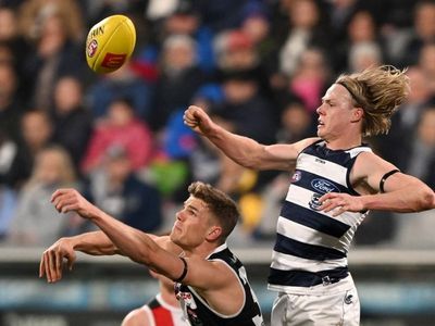 Top Cats close in on AFL minor premiership