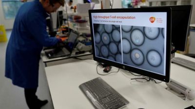 Cool Room Temperature Weakens Cancer Cell Growth, Study Suggests