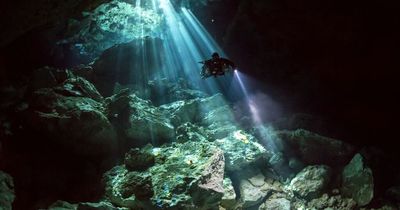 Inside mysterious underwater fog that's 'like another world' and is baffling divers