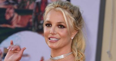 Britney Spears fans beg FBI to help find her due to 'red flag' Instagram posts