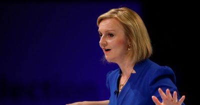'Liz Truss is talking tripe, but Tory MPs are keeping quiet as she's sure to win it'