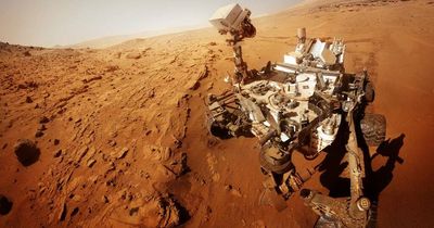 Peak curiosity: The life and soul of Mars marks special anniversary