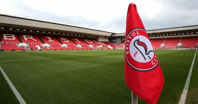 Bristol City condemns 'unacceptable abuse' from fan during game with Sunderland at Ashton Gate