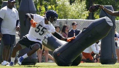 Bears’ defense taking hold: ‘Right now we’re just flying’