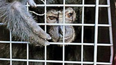 Assam zoo awaits court nod to showcase exotic species