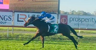 Newcastle mare Air To Air soars to amazing victory at home