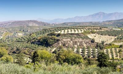 Wines that are a holiday in a glass