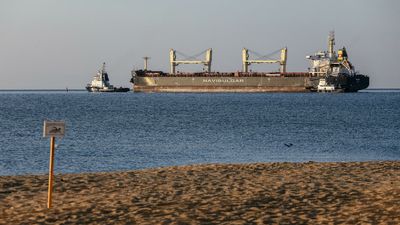 Second caravan of cargo ships sails from Ukraine