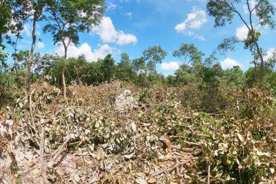 Cambodian PM scraps development project threatening wildlife sanctuary