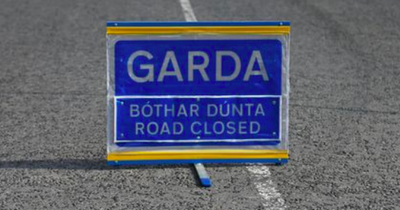 One dead, one injured in horror Cork crash as gardai shut road