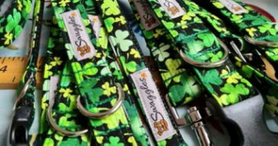 Taoiseach's office spent €97 on novelty dog ties for St Patrick's Day