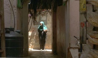 Fadia’s Tree review – moving documentary of Palestinian displacement