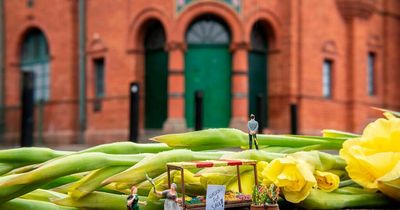 Street photographer makes Manchester Miniature in novel new project