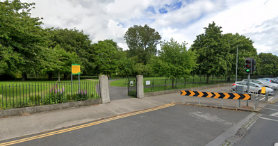 Horror Dublin body find as gardai seal off park and arrest man