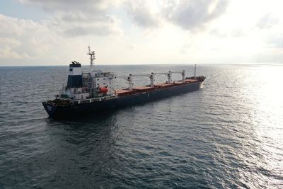 Pope hails departure of Ukrainian grain ships as 'sign of hope'