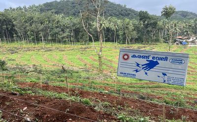 Wild animal menace: farmers independently take up solar fencing in Kozhikode