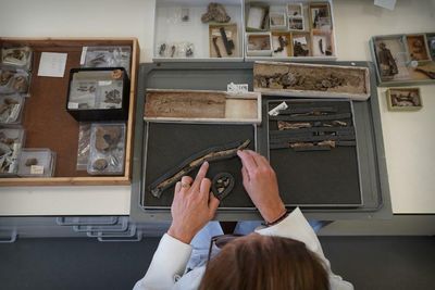 'One of world's most important' fossil collections donated to Scottish museum