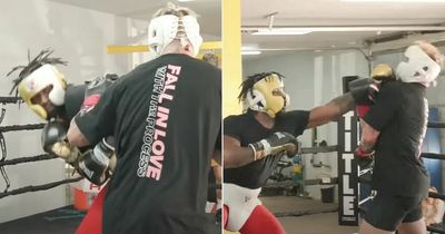 Jake Paul releases full footage of sparring session with Hasim Rahman Jr