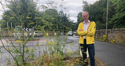 Liberal Democrat councillor 'shaken' after being assaulted while delivering newsletters