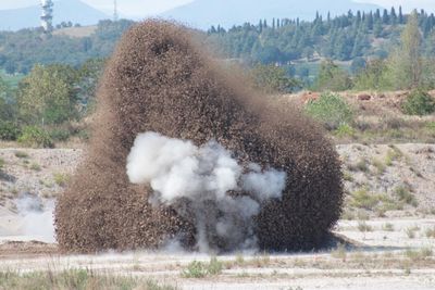 WW2 bomb revealed in drought-hit waters of Italy's River Po