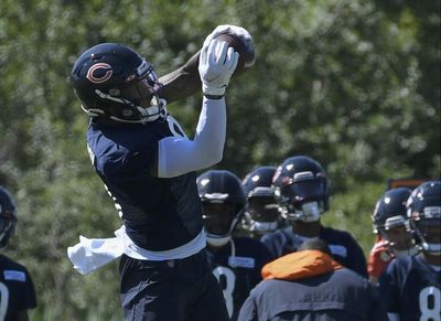 Bears WR N’Keal Harry suffered high-ankle sprain