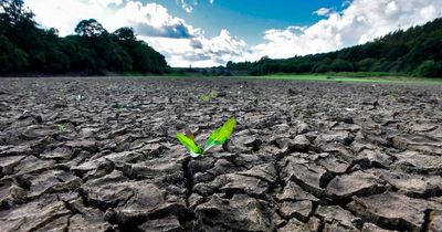 'As Britain lurches towards a hosepipe ban it's vital water companies stop leaking'