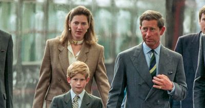 Prince William and Harry’s nanny called them 'my babies' and shunned 'hired help' Camilla
