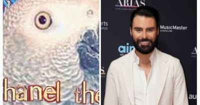 Strictly's Rylan Clark sets record straight after confused fans think show has signed up a PARROT for 2022 series