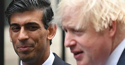 Rishi Sunak was plotting Boris Johnson's downfall 15 months ago claims top Tory