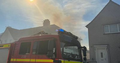 Firefighters battle 100m grass fire in field behind Southmead homes